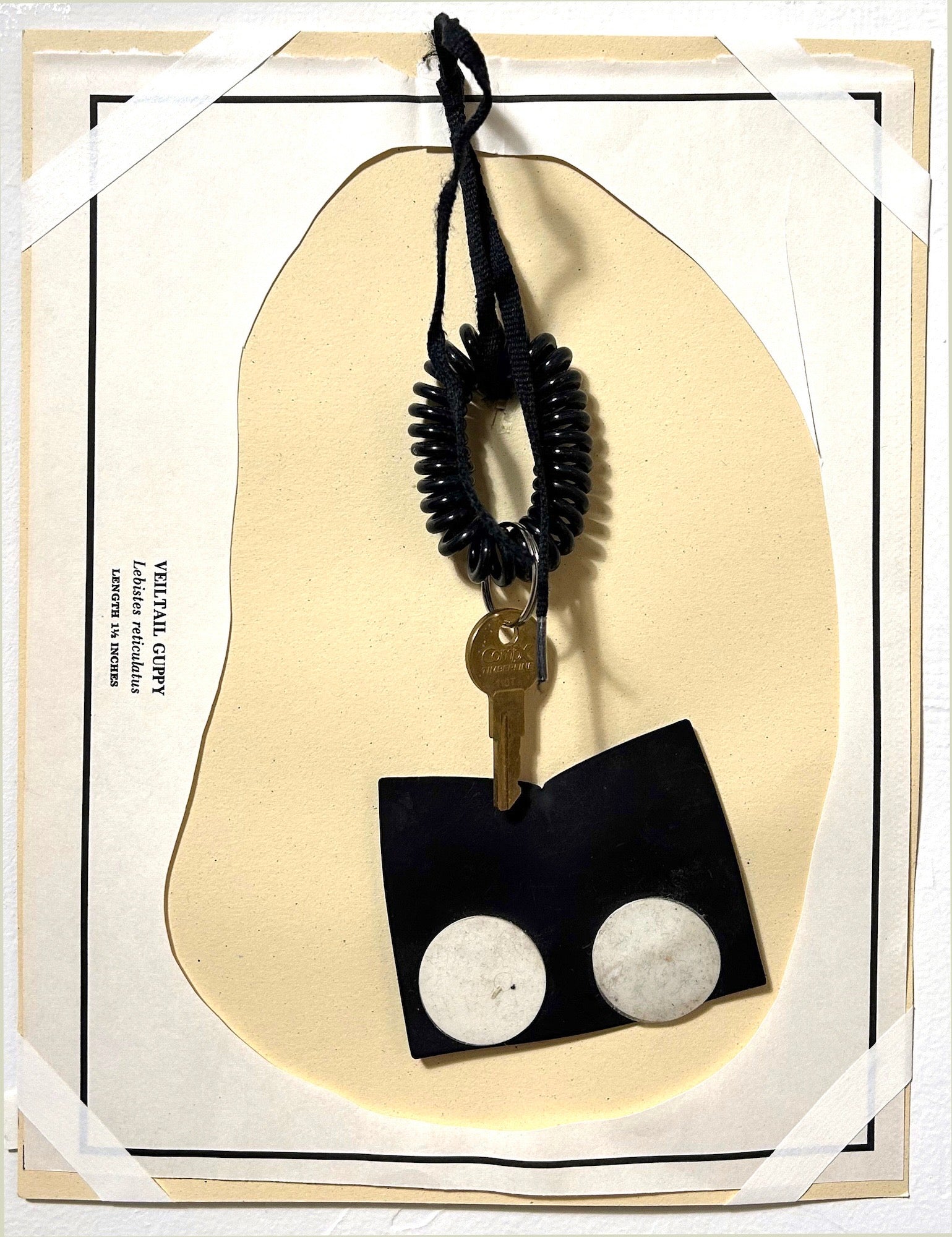 THE CORPSES: Veil Tail Window