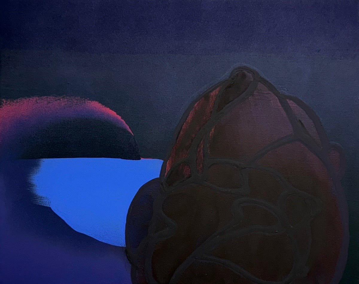 Sue McNally: Night Rock